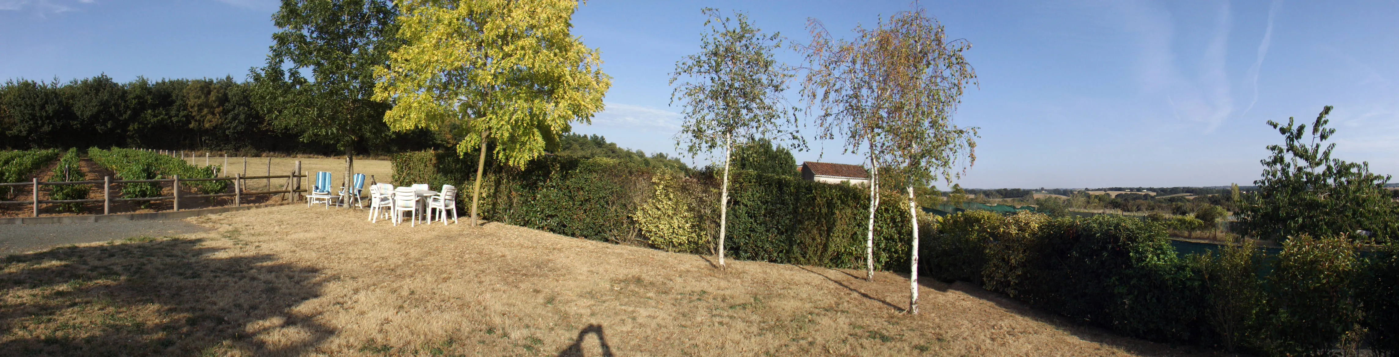 Panorama du grand jardin du gîte avec ses bouleaux, salon de jardin et vue dégagée sur la campagne vendéenne.