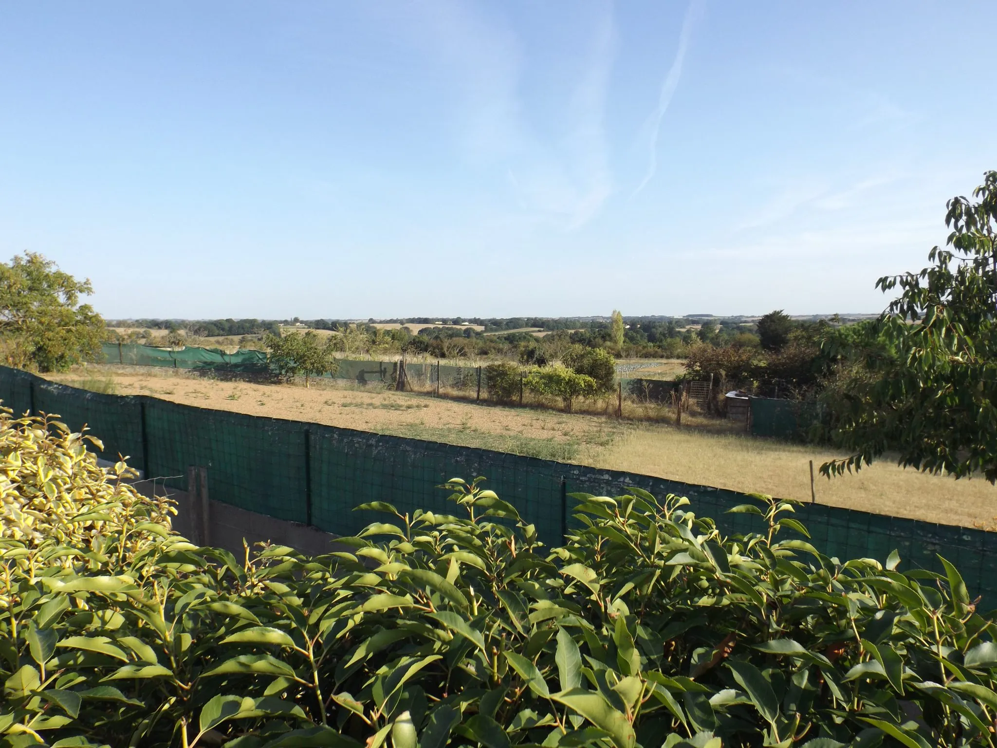 Vue panoramique sur le bocage vendéen et les vignes depuis les hauteurs du gîte, sous un ciel d’été.